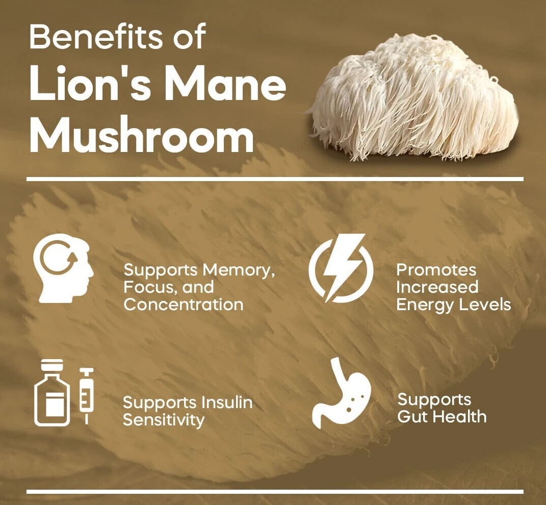 How Lions Mane Mushroom Benefits for Memory and Focus