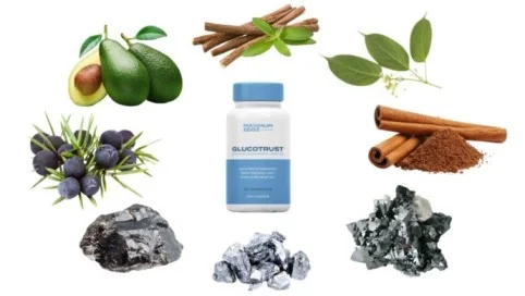 What Are There Key Ingredients in GlucoTrust